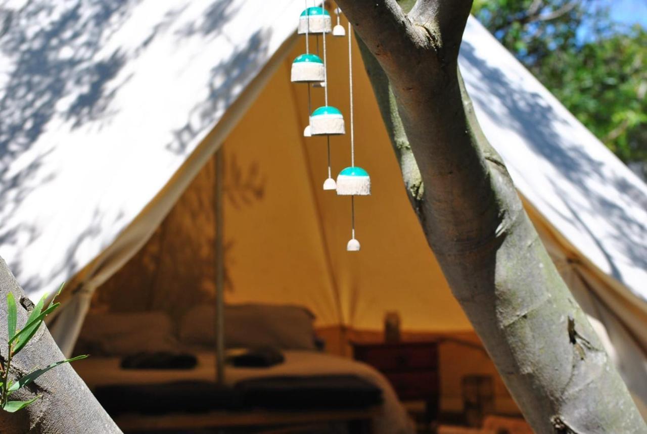 La Brujula Hostel 라 팔로마 외부 사진